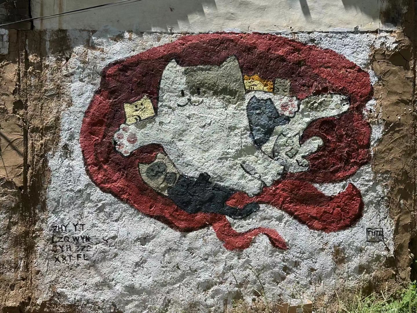 保定猫村志愿活动 3