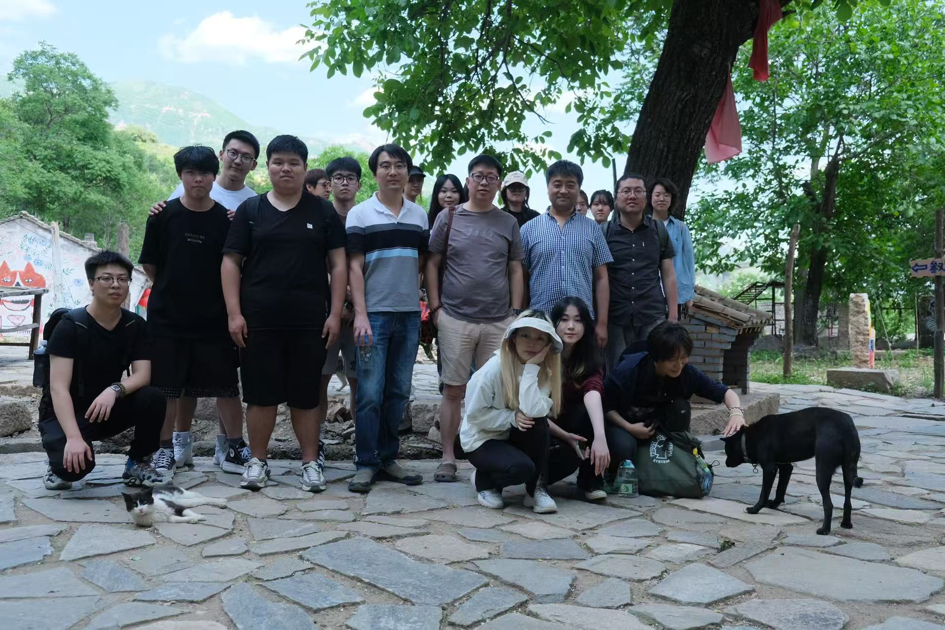 保定猫村志愿活动 6